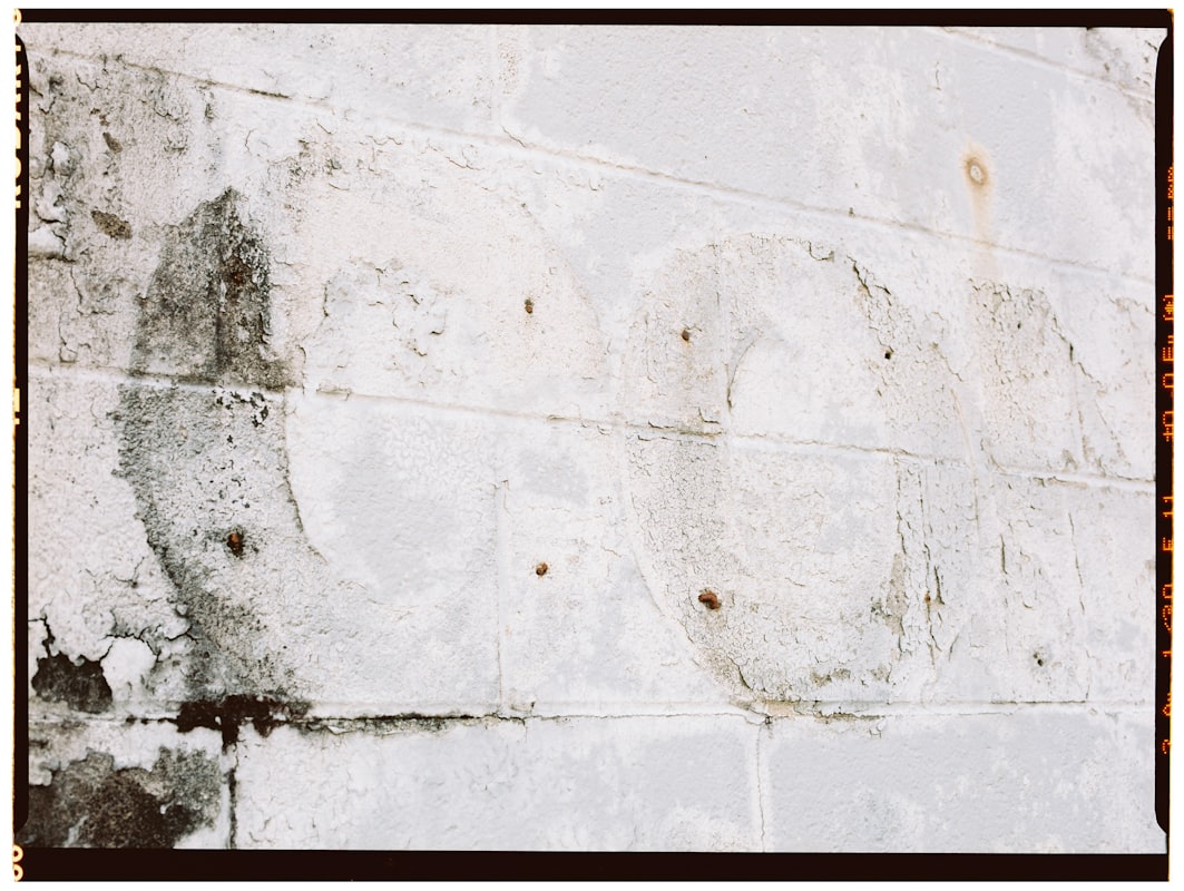 Flood Cleanup service in Canton, OH