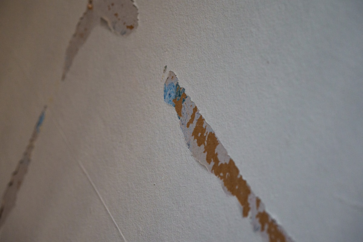 Basement Water Removal service in Canton, OH